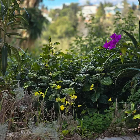 Casa 13 מארבלה